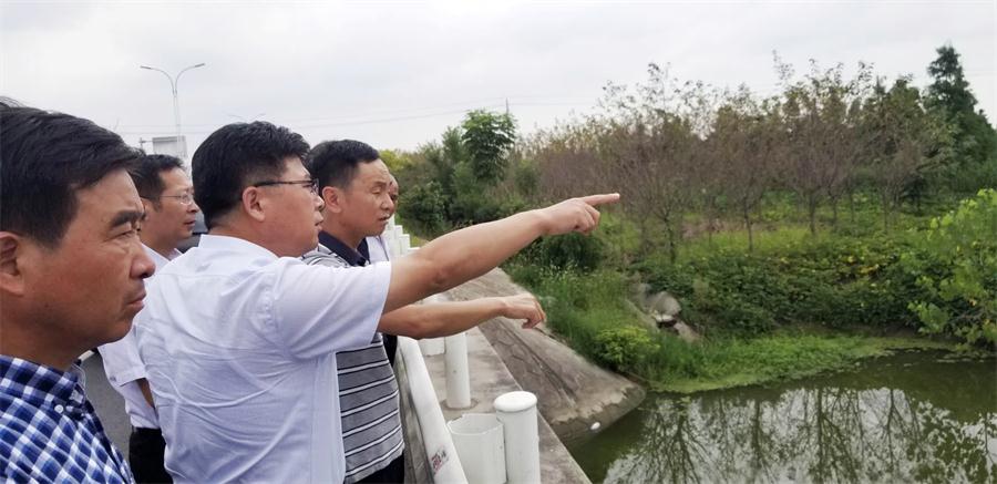 1599015416665529.jpeg 配圖.jpeg